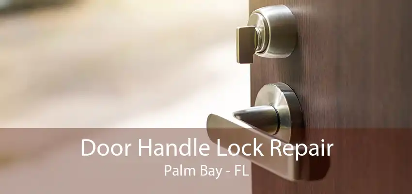 Door Handle Lock Repair Palm Bay - FL