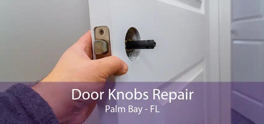 Door Knobs Repair Palm Bay - FL